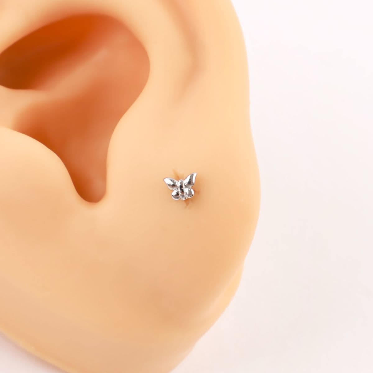 [Noble Piercing] Petit Butterfly - 이미지 3