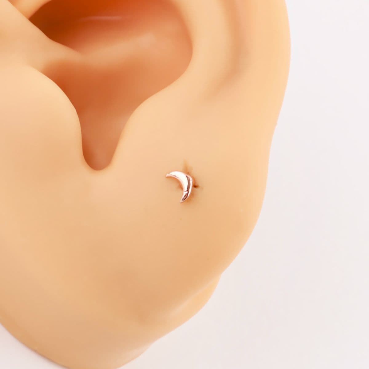 [Noble Piercing] Petit Dal - 이미지 4