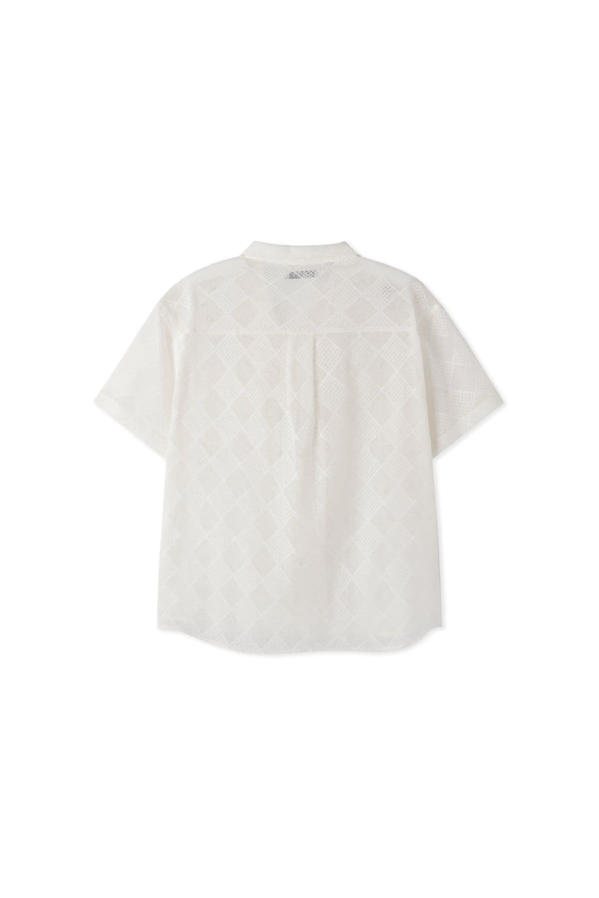 Lace open-collar cropped short-sleeve shirt - 이미지 3