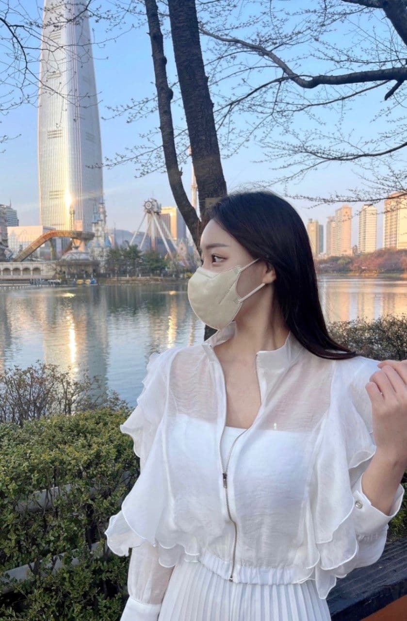 Sunshine Blouson (Sheer Frill Zip-Up Blouson See-through Crop Windbreaker Jumper) - 이미지 11