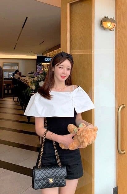 Short Cape T-shirt (Off-shoulder cape short-sleeve blouse with puff sleeves) - 이미지 2