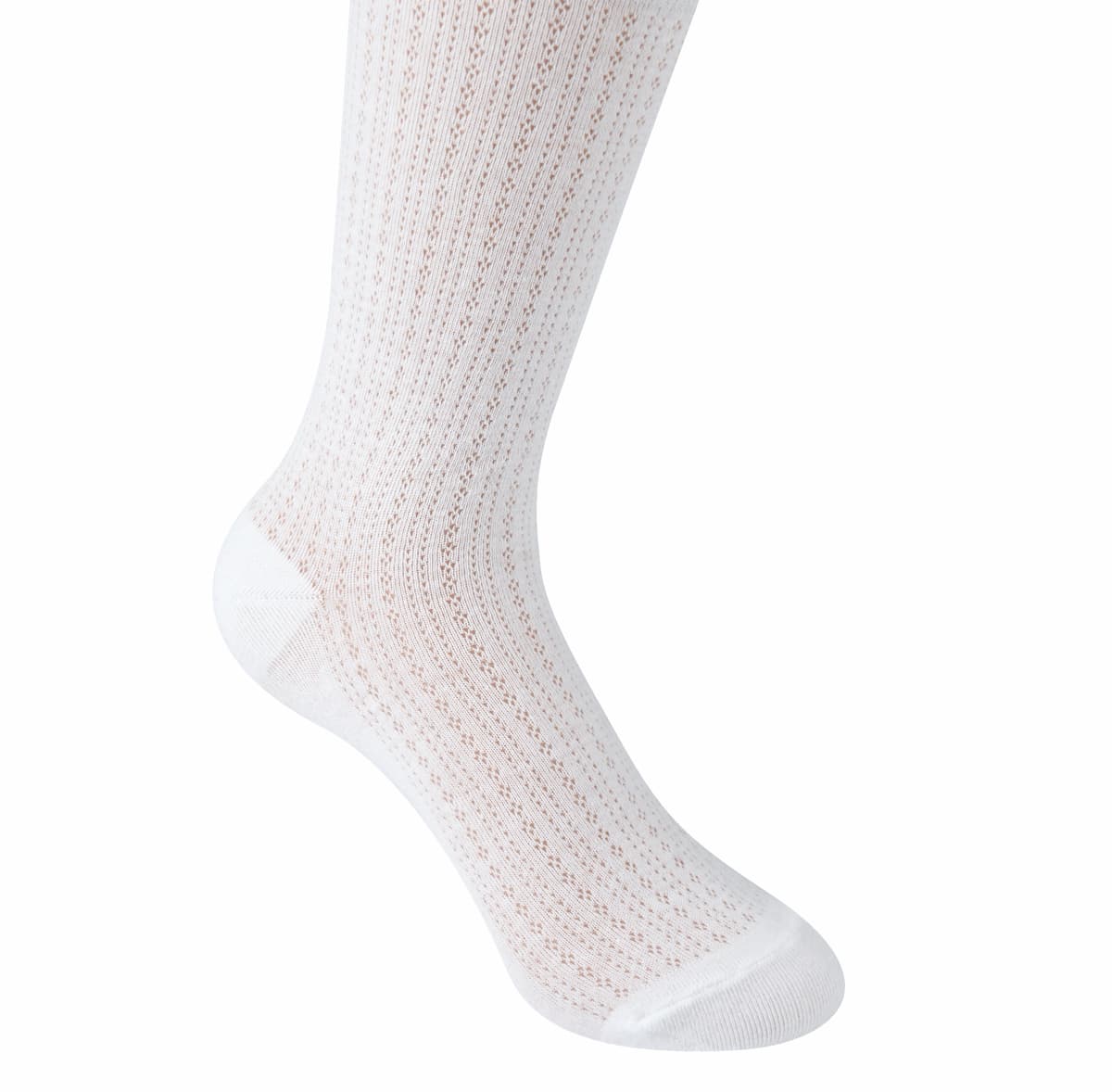 Kikiya See-through Roller Socks Pastel Socks Colored Socks Daily Socks Knee Socks Student Socks Long Socks Korean Socks - 이미지 1