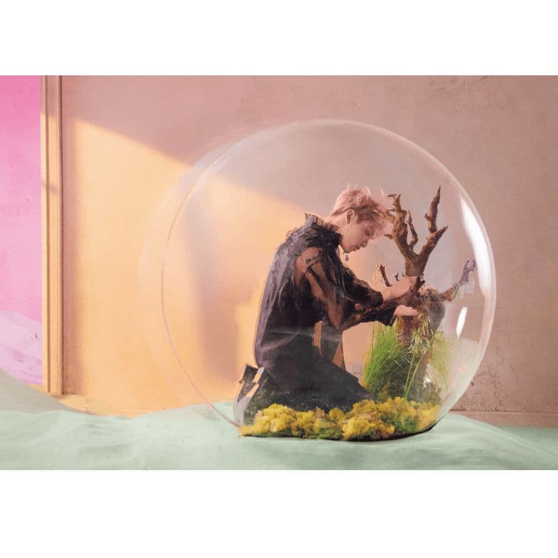 BTS Lenticular Postcard LOVEYOURSELF Version 8 Types (BTS Postcard_8types) - 이미지 6