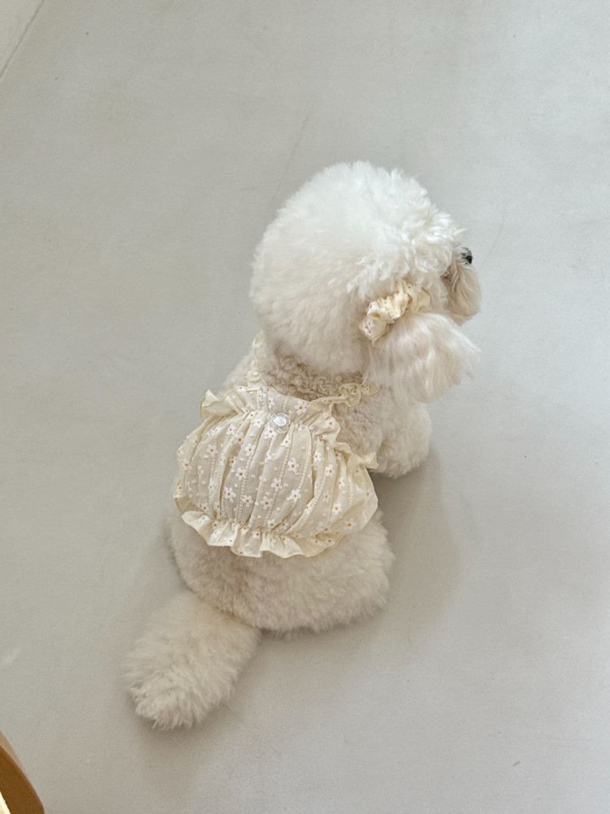Cream Flower Top (Single Item) / S-2XL - 이미지 8