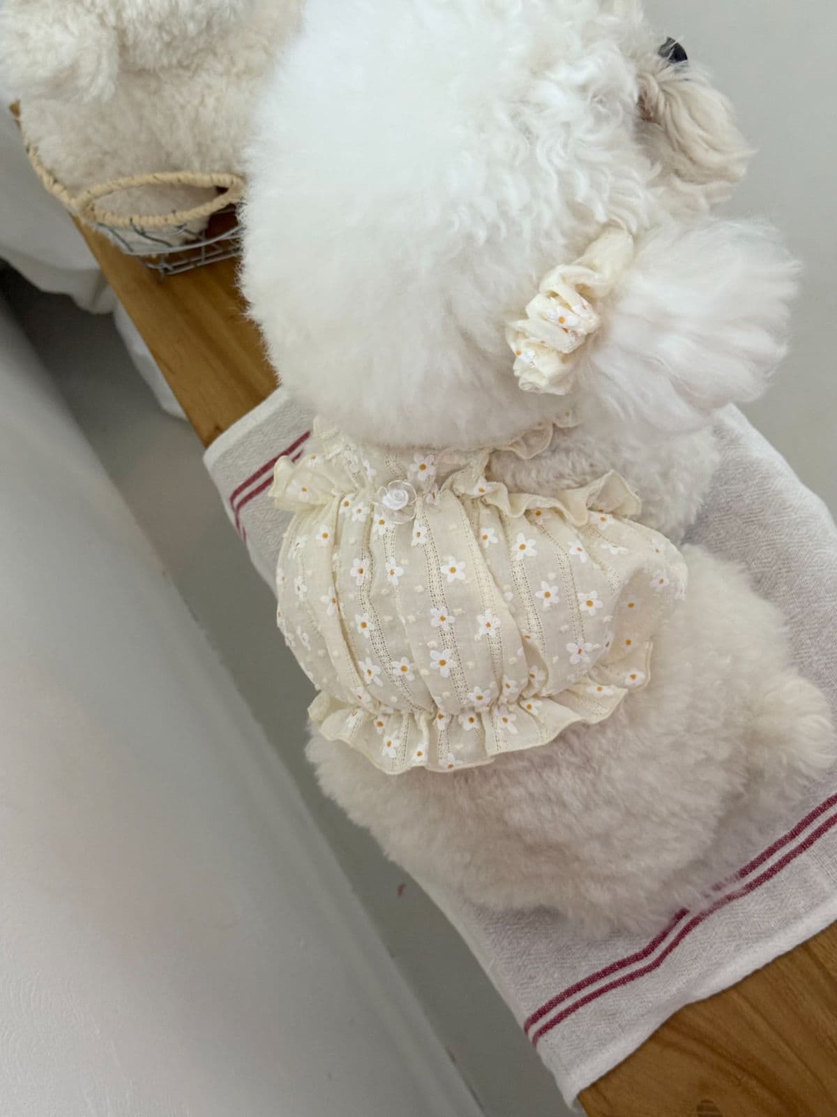 Cream Flower Top (Single Item) / S-2XL - 이미지 4