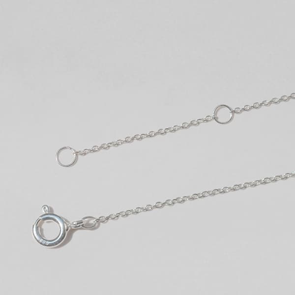 925 Dolphin Pendant Necklace_YN511 - 이미지 3