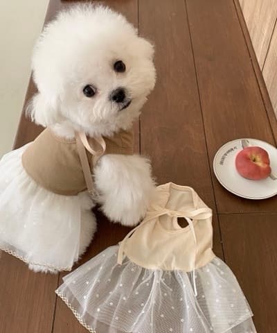 발레코어 골지 레이스 원피스