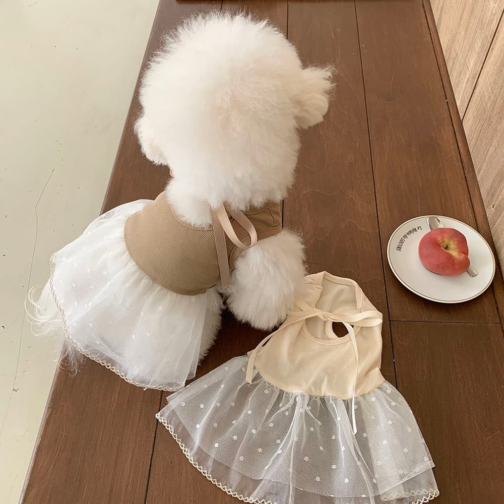 발레코어 골지 레이스 원피스 - 이미지 2