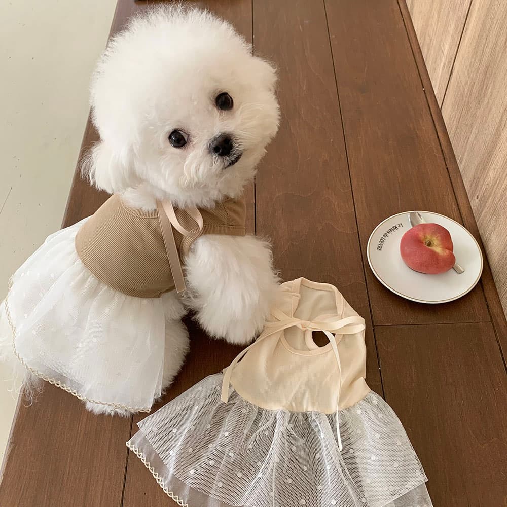 발레코어 골지 레이스 원피스 - 이미지 1