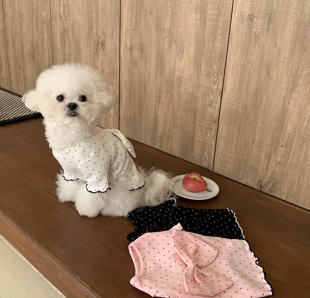 왕리본 도트 티셔츠 - 이미지 8