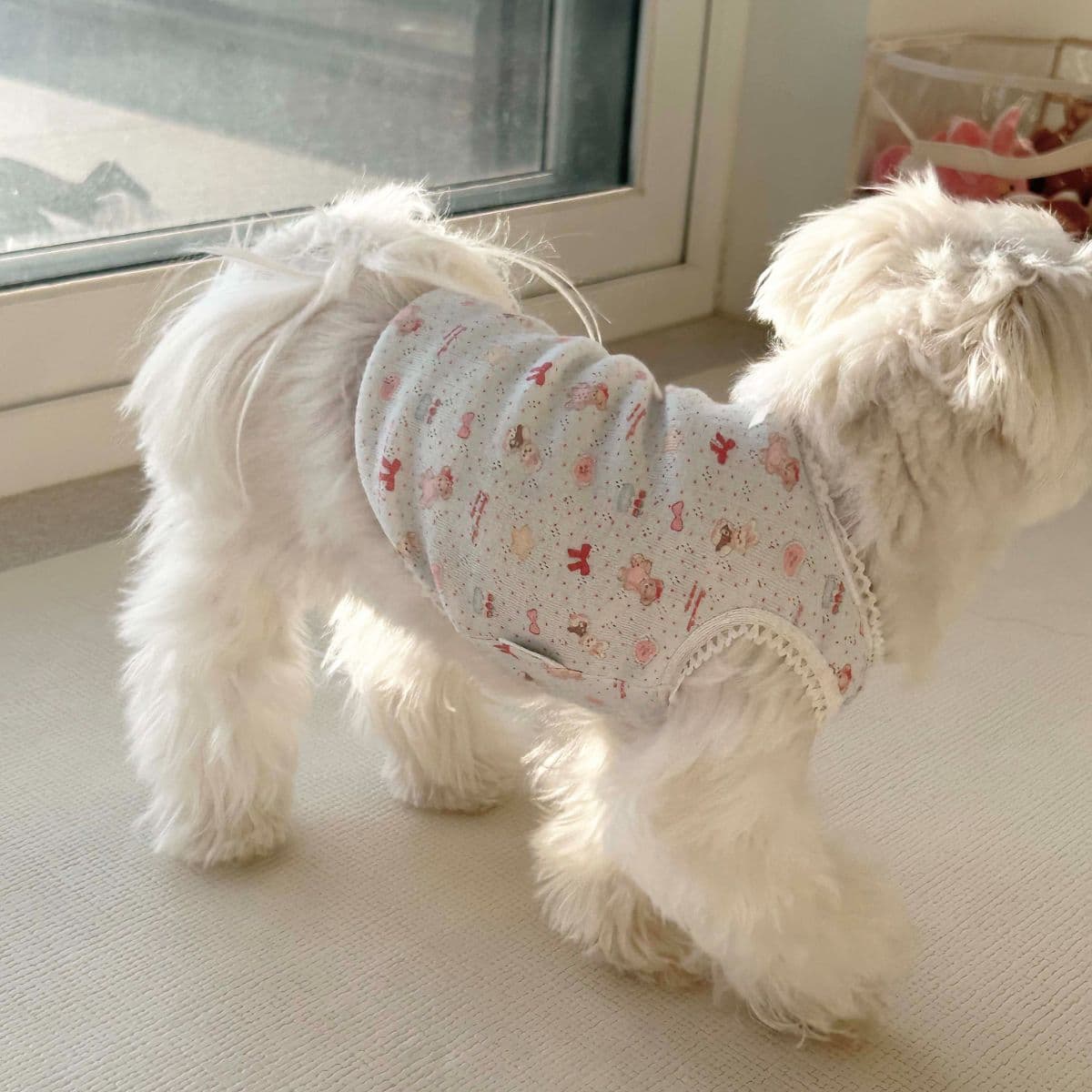 쥬비코 강아지옷 도트베어 메리야스 - 이미지 1