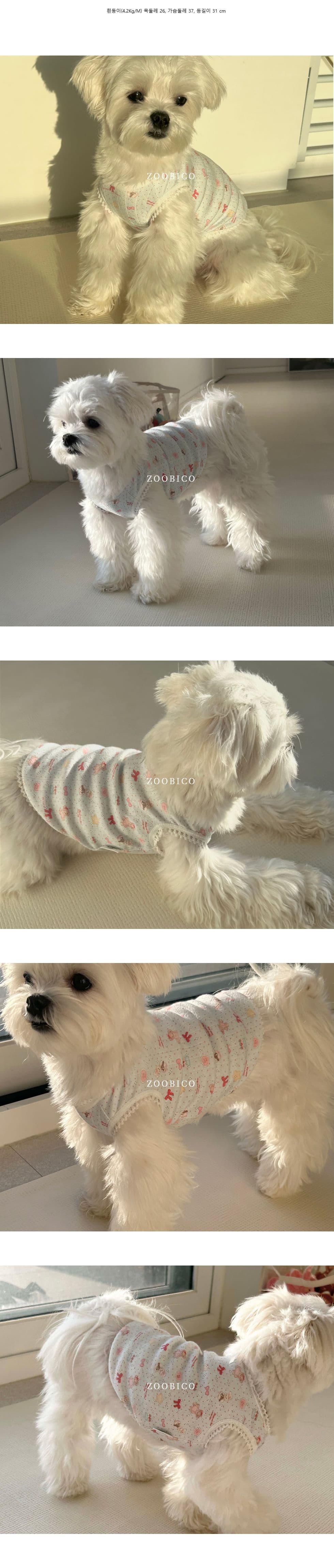 쥬비코 강아지옷 도트베어 메리야스 - 이미지 3