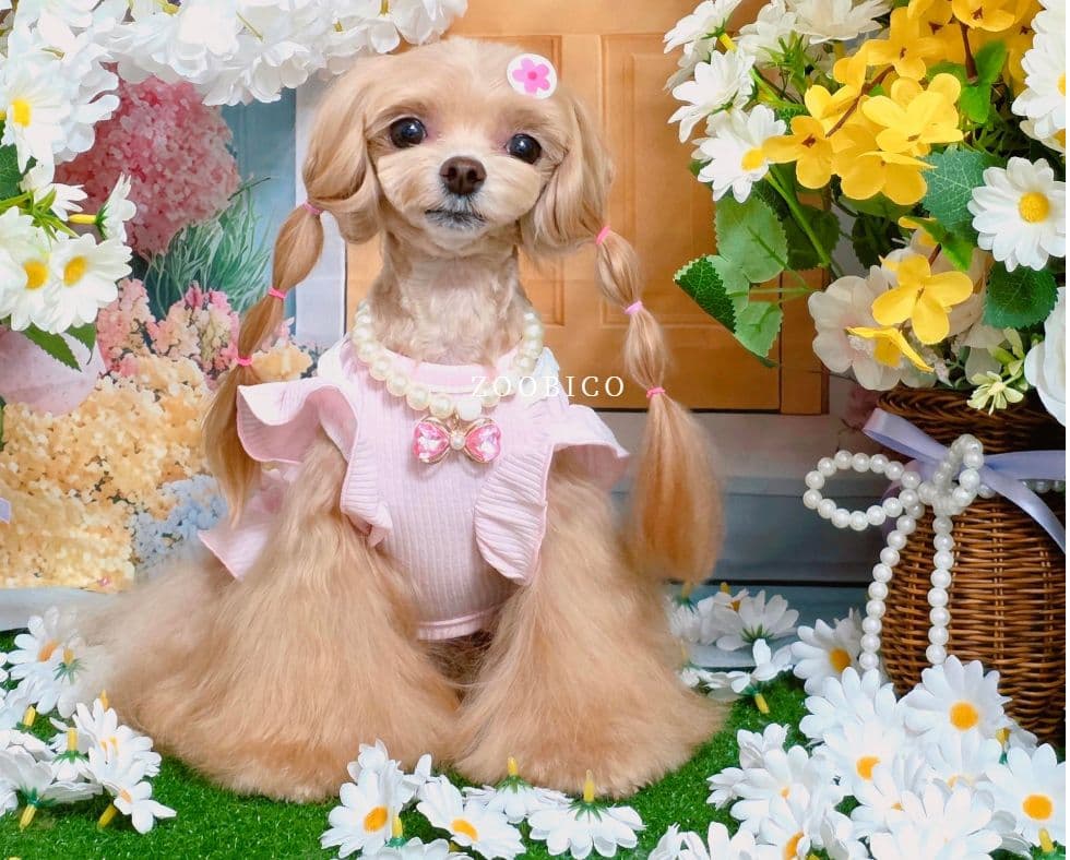 Jubico dog clothes Viache dress - 이미지 2
