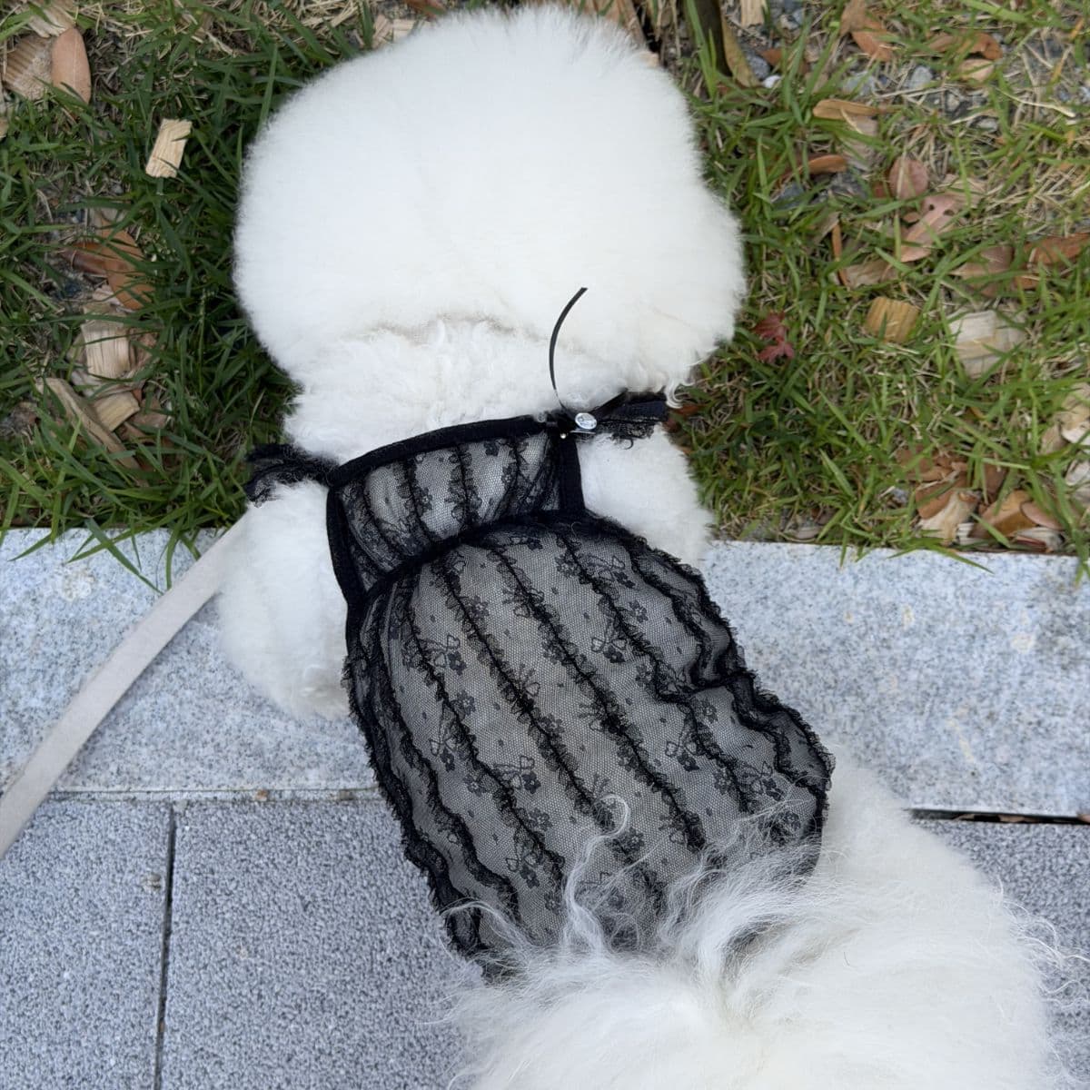 Jubico Dog Clothes Geumbi Mesh See-through Sleeveless Top - 이미지 1