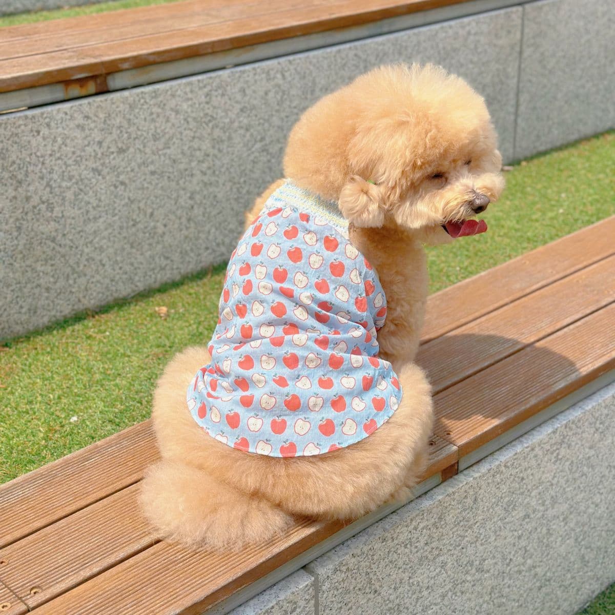 Jubico Dog Clothes Apple Smoke Dress - 이미지 1