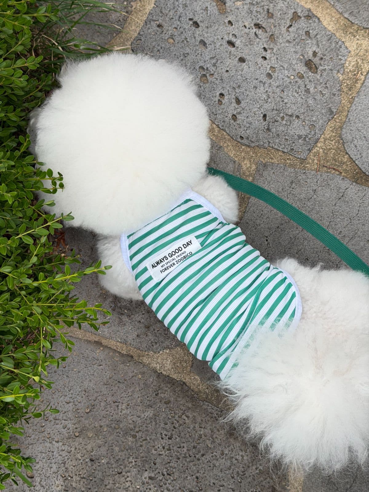 Jubico Good Day Mesh Style Sleeveless Dog Clothes - 이미지 10