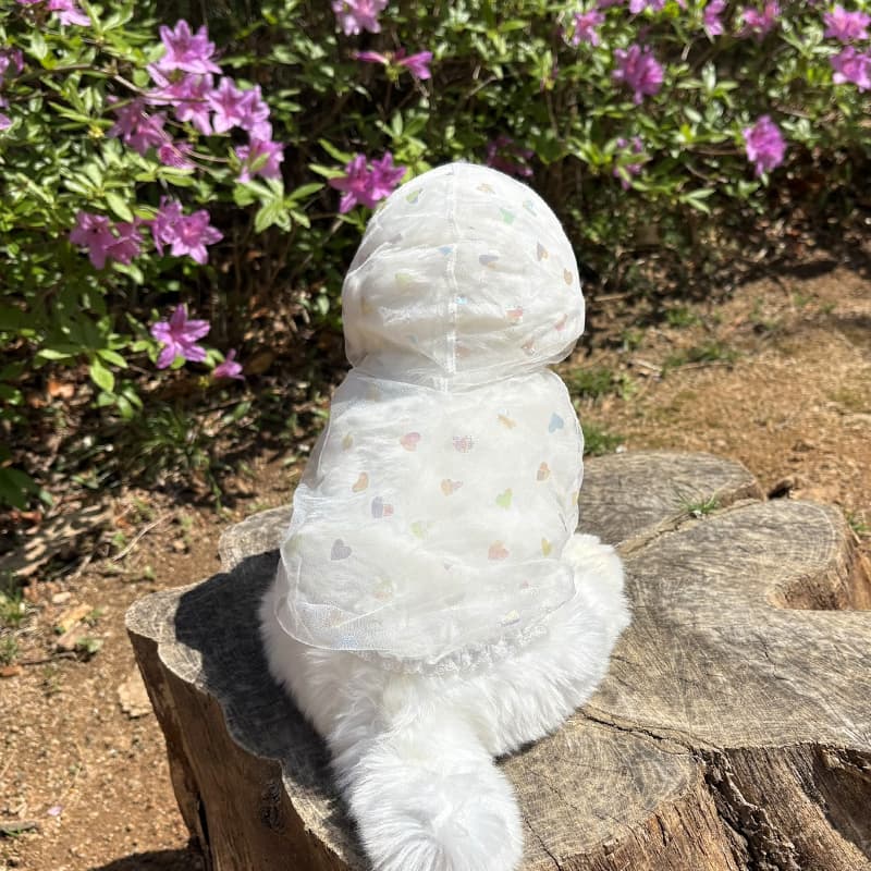 Aurora Heart Bug Guard Dog Clothes - 이미지 12