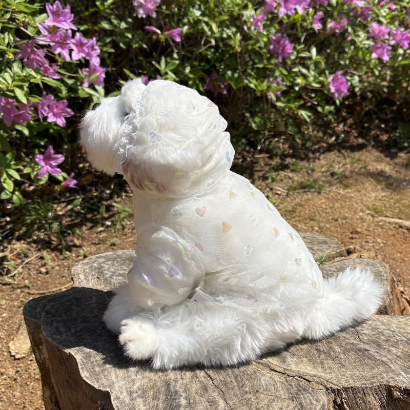 Aurora Heart Bug Guard Dog Clothes - 이미지 11