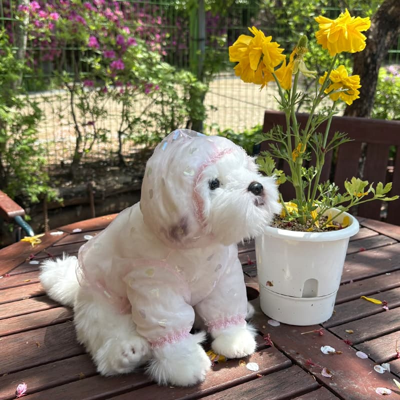 Aurora Heart Bug Guard Dog Clothes - 이미지 8