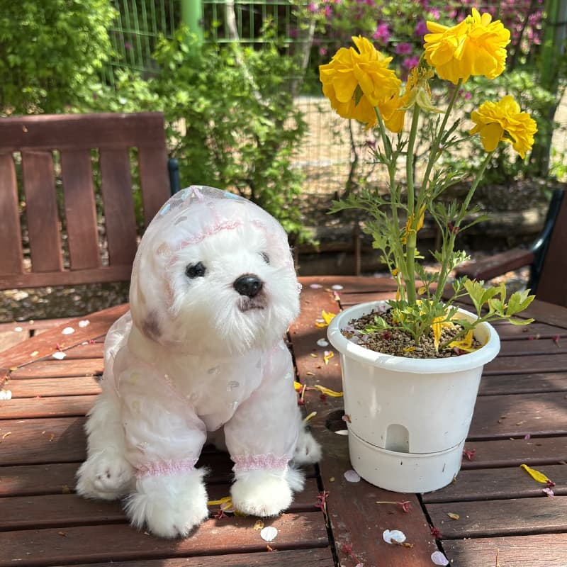 Aurora Heart Bug Guard Dog Clothes - 이미지 7