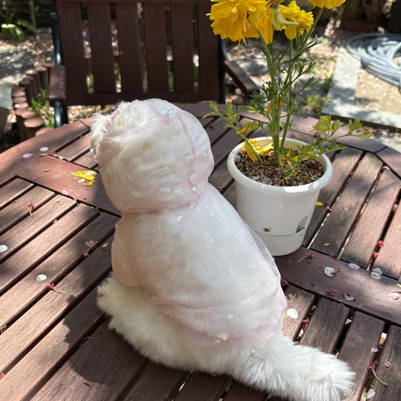 Aurora Heart Bug Guard Dog Clothes - 이미지 9