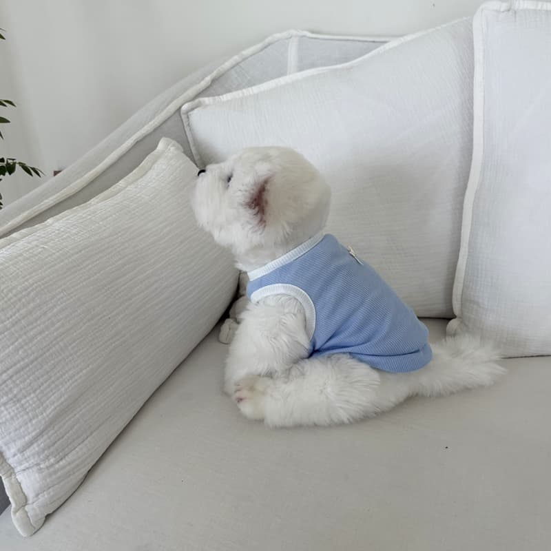 Flowy tank top for dogs - 이미지 14