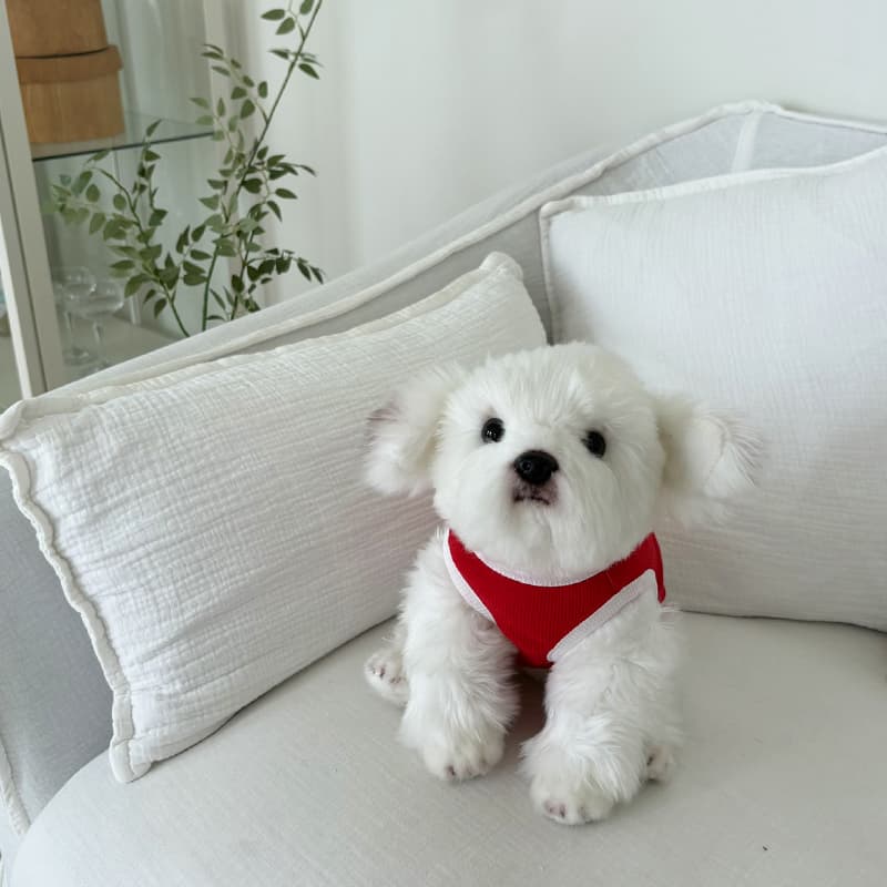 Flowy tank top for dogs - 이미지 5