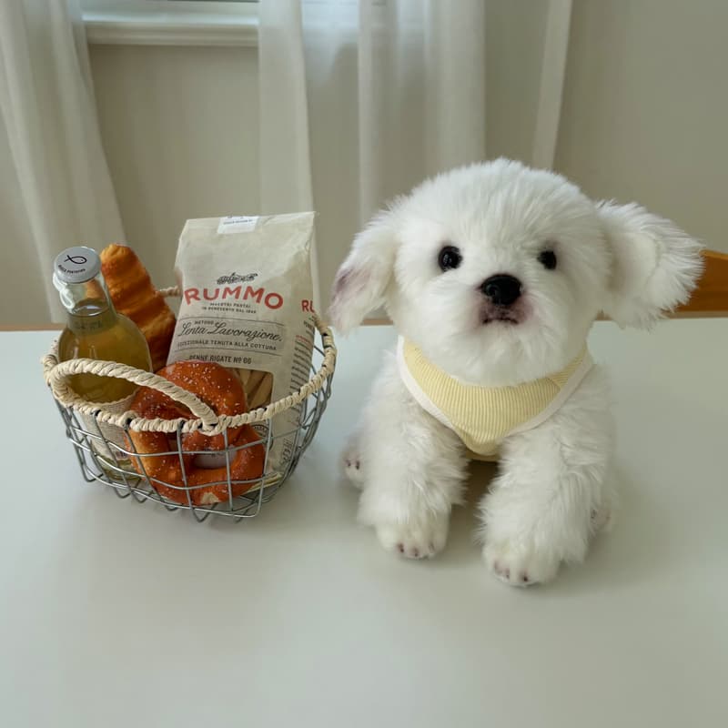 Flowy tank top for dogs - 이미지 9