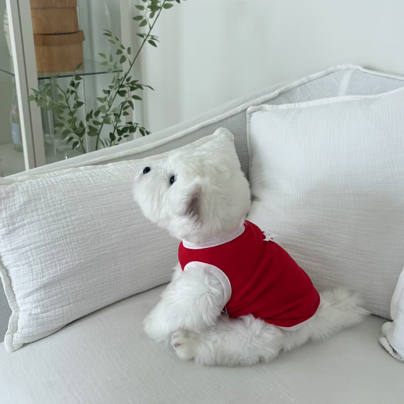 Flowy tank top for dogs - 이미지 6