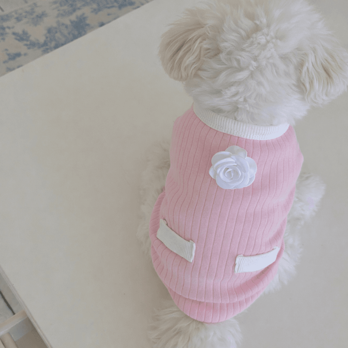 코코 포켓티 (강아지옷) - 이미지 4