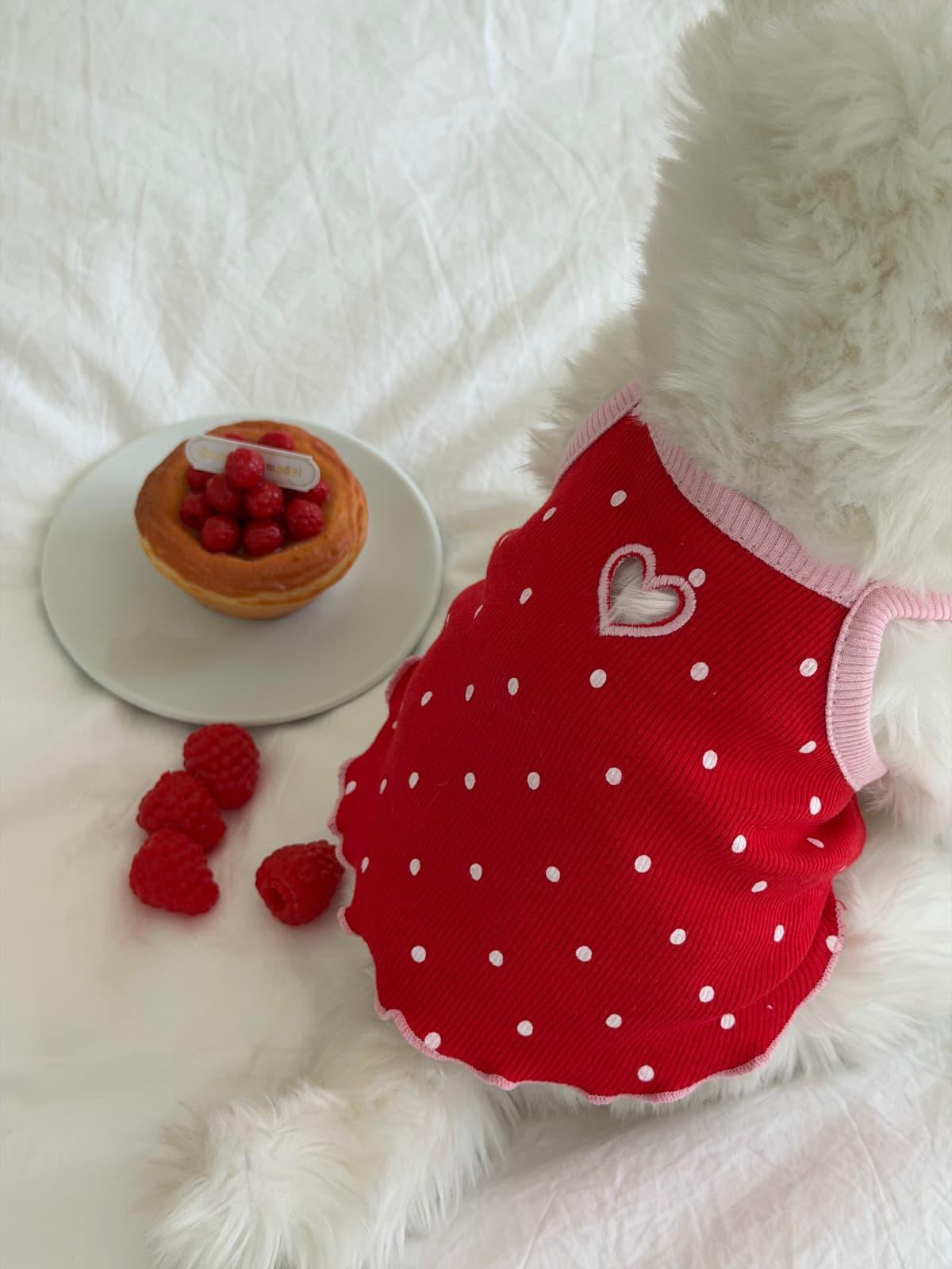 Heart Hole Dot Sleeveless Top (Puppy Clothes) - 이미지 5