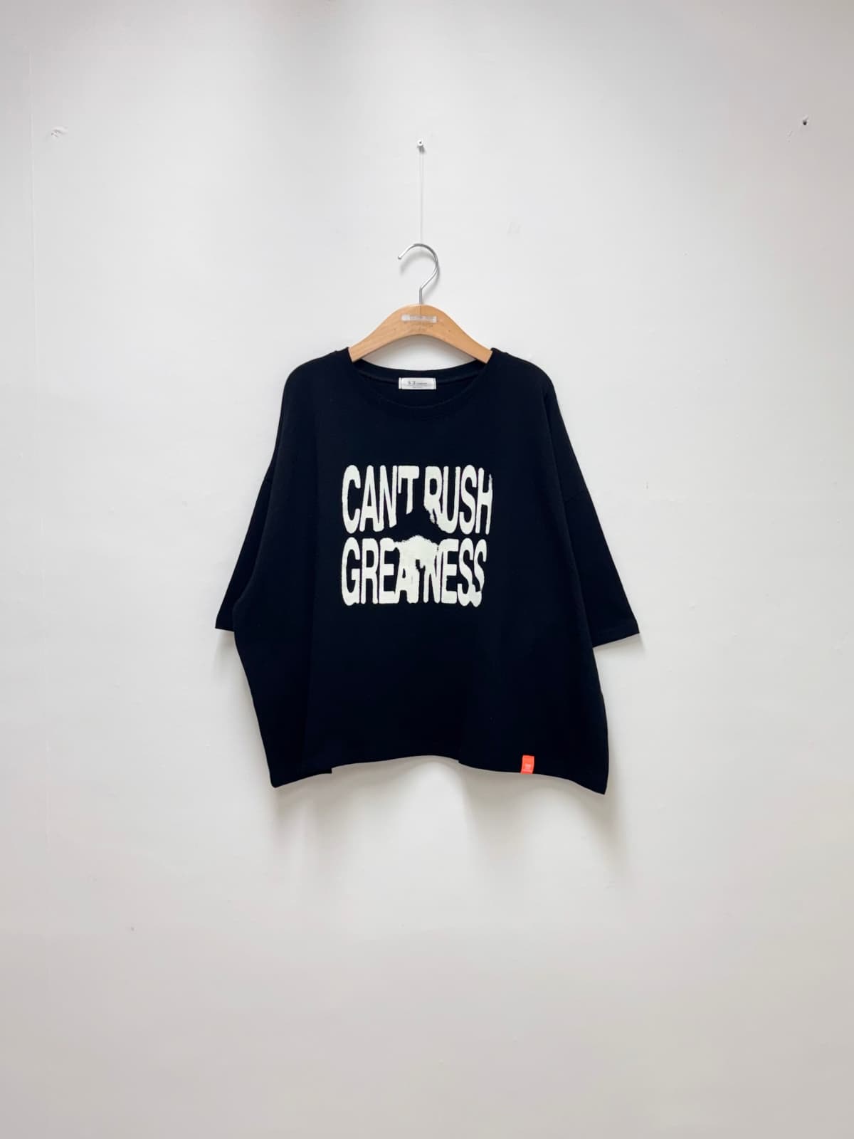 Lush Fluorescent Label Tee (Cotton Boxy Tee, Printed Tee, Casual Tee) - 이미지 7