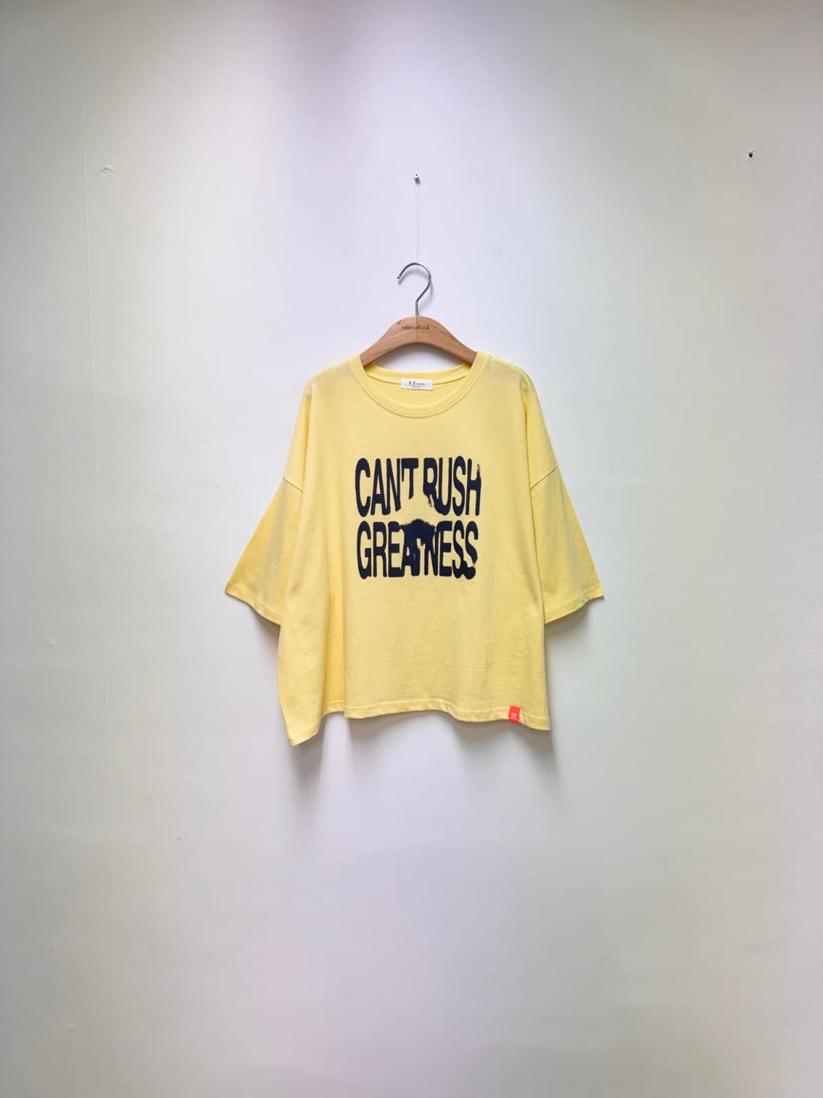 Lush Fluorescent Label Tee (Cotton Boxy Tee, Printed Tee, Casual Tee) - 이미지 6