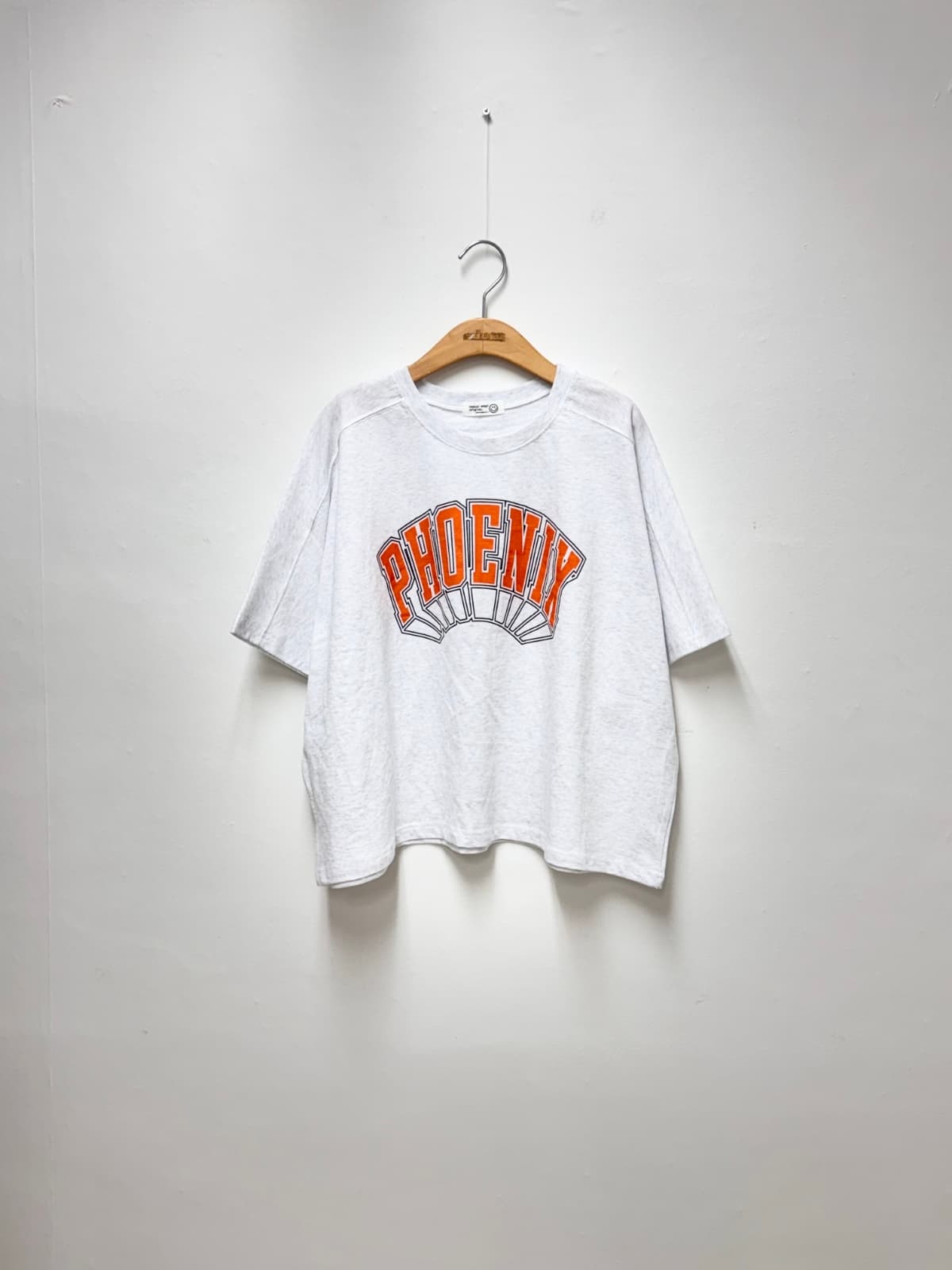 Phoenix Stingray T-shirt (Cotton Big Size Stingray Boxy T-shirt Print) - 이미지 4