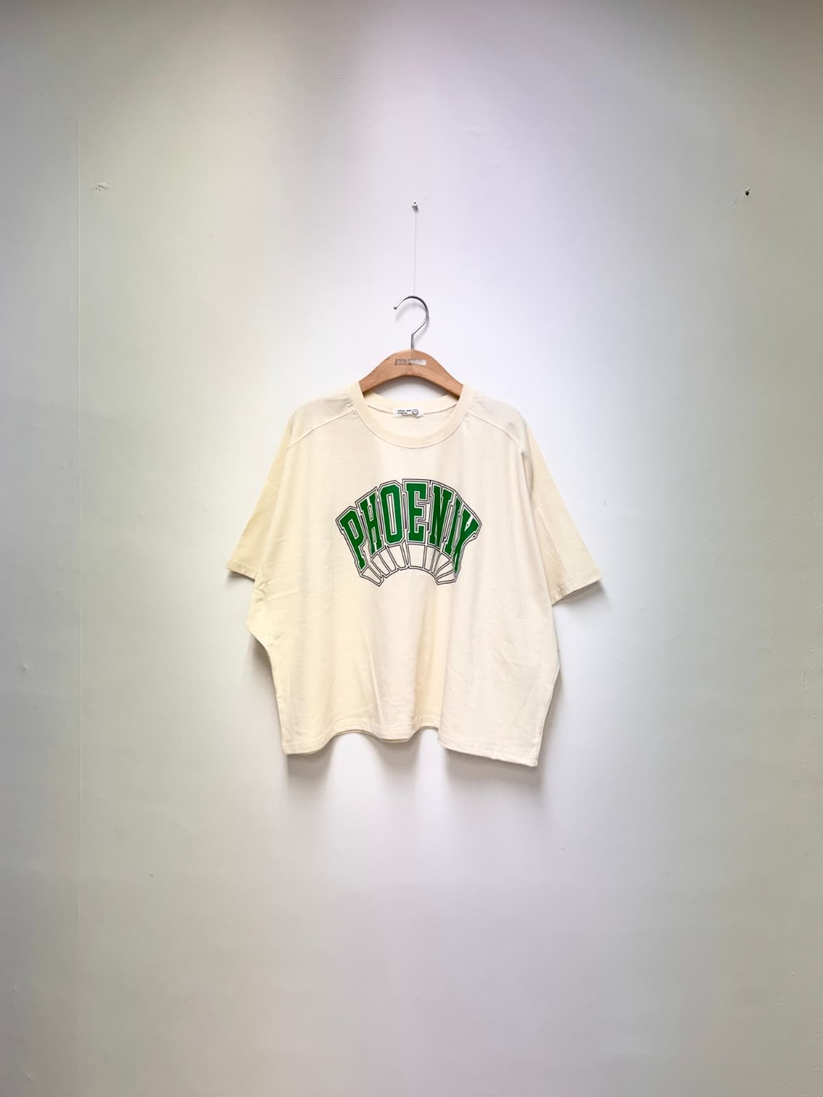 Phoenix Stingray T-shirt (Cotton Big Size Stingray Boxy T-shirt Print) - 이미지 5